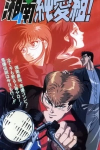 Крутой учитель Онидзука: Ранние годы (1 сезон)