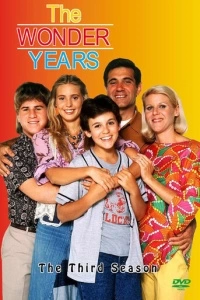 Чудесные годы (1-6 сезон)