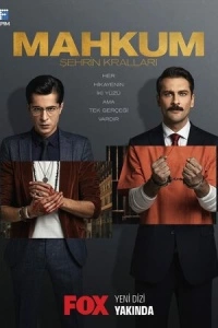 Невиновный подсудимый (1 сезон)