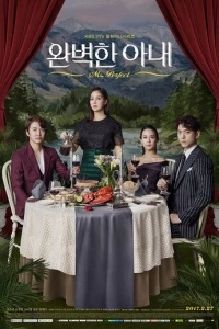 Идеальная жена (1 сезон)