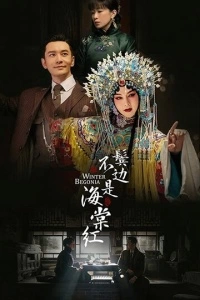 Зимняя бегония (1 сезон)