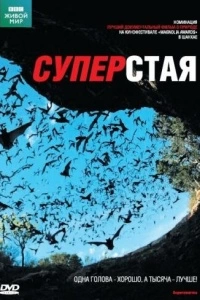 BBC: Суперстая (1 сезон)