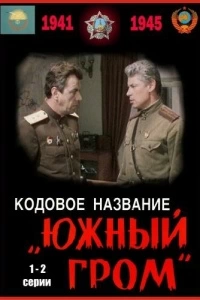 Кодовое название «Южный гром» (1 сезон)