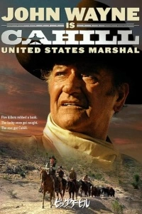 Жестяная звезда (1973)